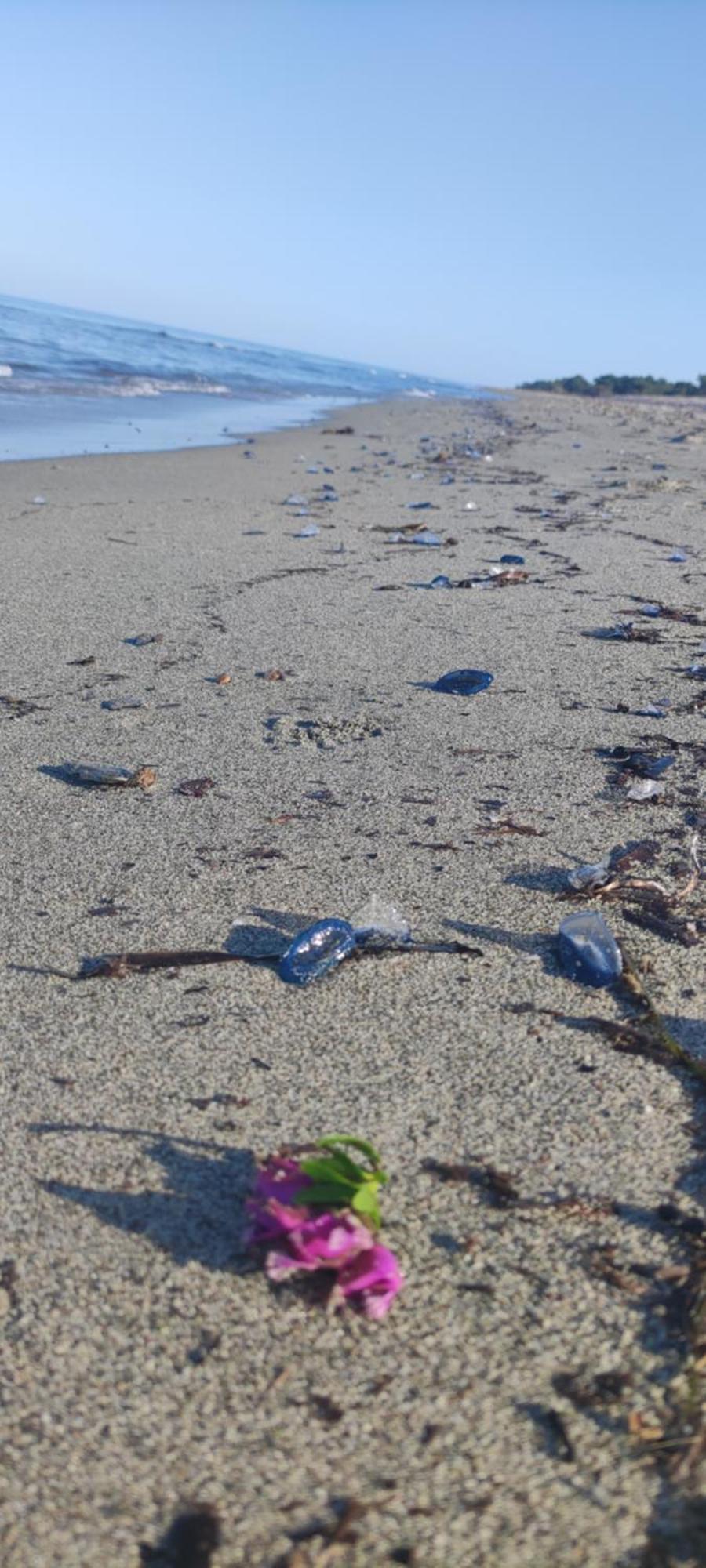 Villa Les Pieds Dans L'Eau Borgo  Esterno foto